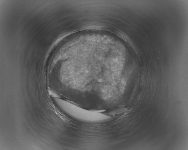 X0000080661027200701121601