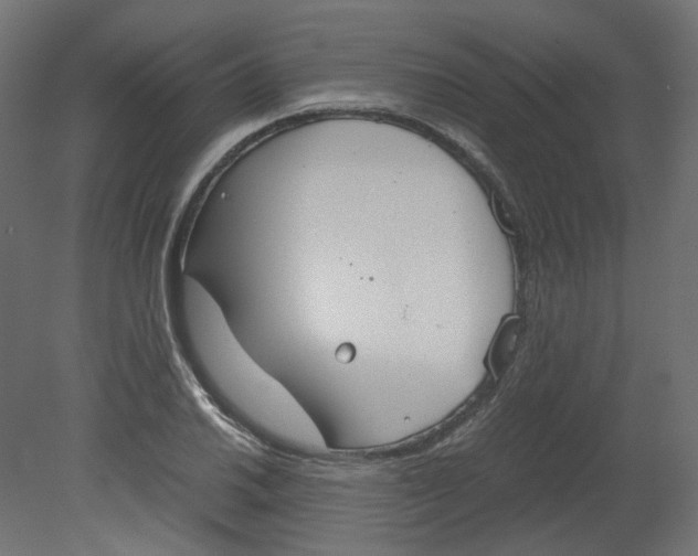 X0000080661030200701121601