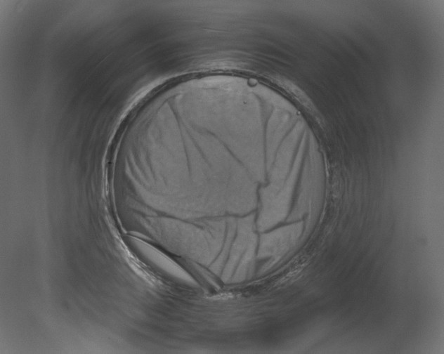 X0000080661031200701121601