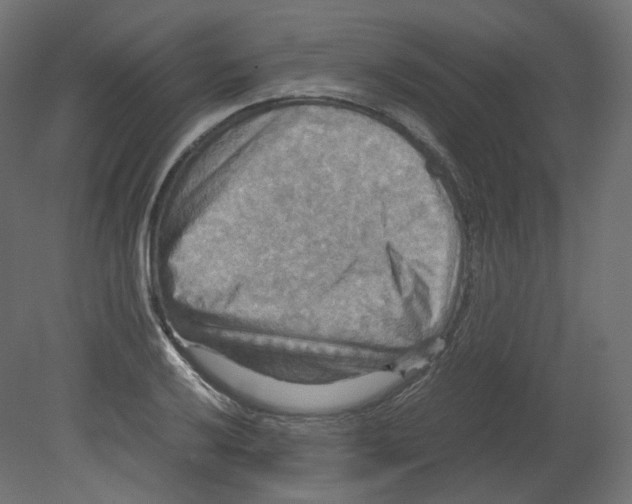 X0000080661032200701121601