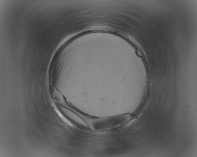 X0000080661037200701121601