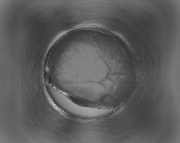 X0000080661038200701121601