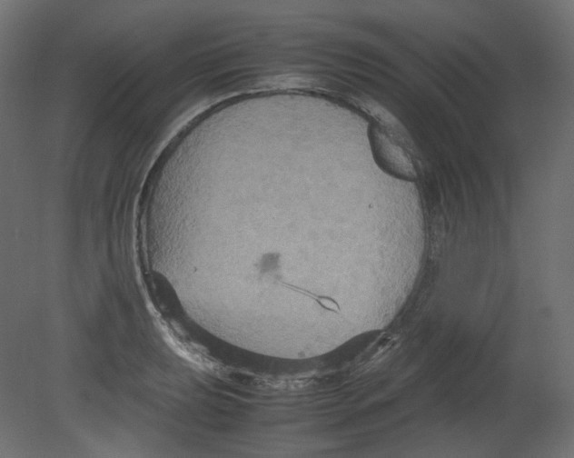 X0000080661039200701121601