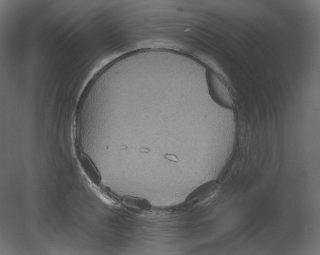 X0000080661040200701121601