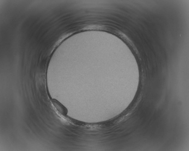 X0000080661041200701121601