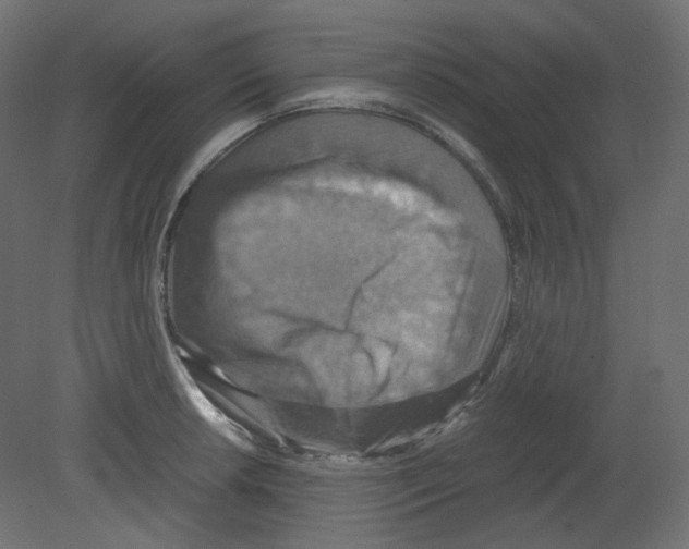 X0000080661042200701121601