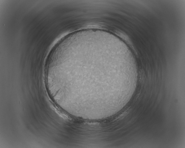 X0000080661043200701121601