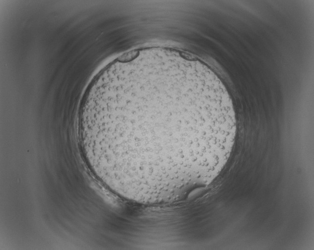 X0000080661044200701121601