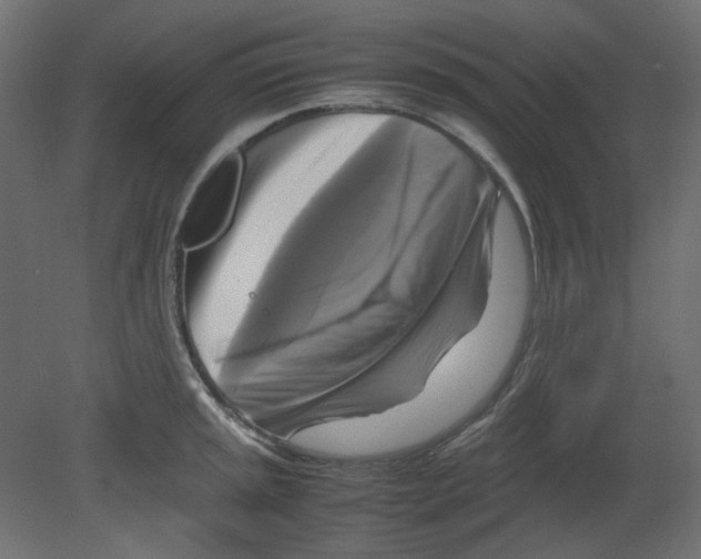 X0000080661045200701121601