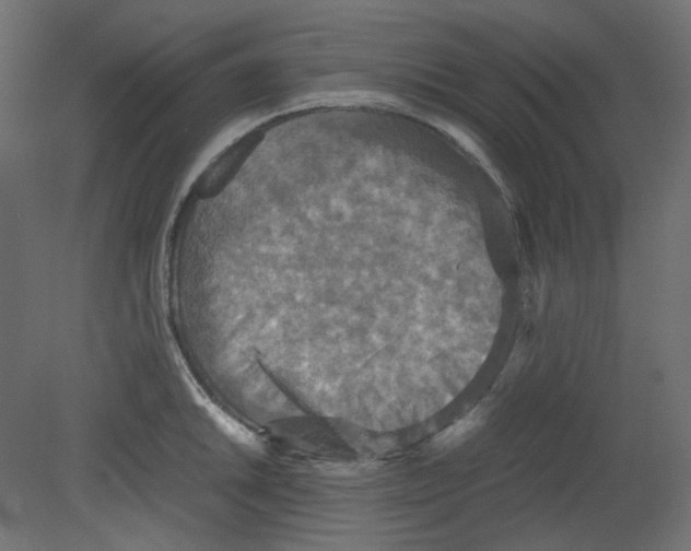 X0000080661046200701121601