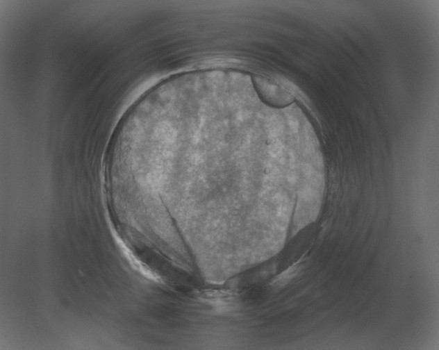 X0000080661047200701121601