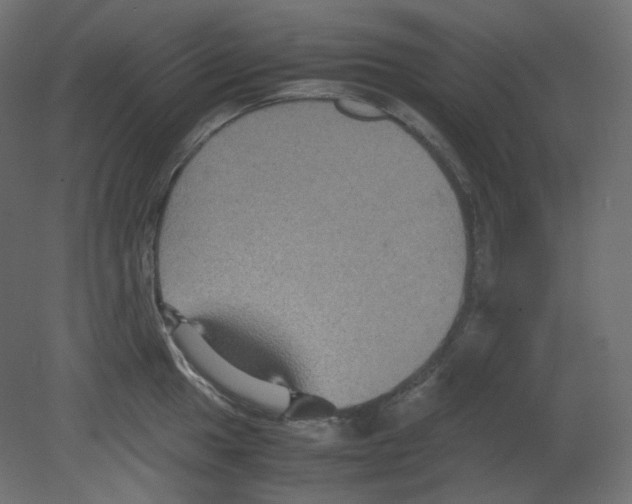 X0000080661049200701121601