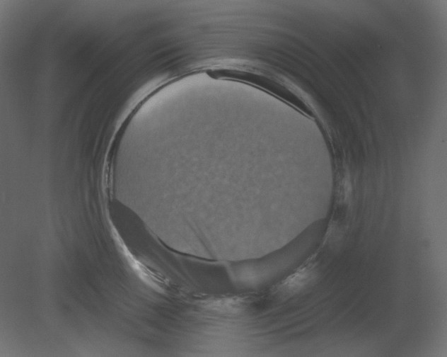 X0000080661050200701121601