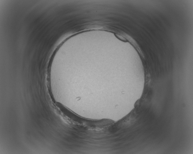 X0000080661051200701121601