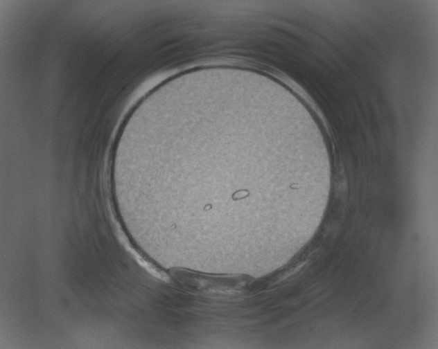 X0000080661053200701121601