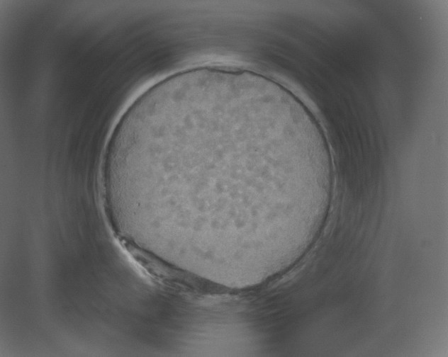 X0000080661056200701121601