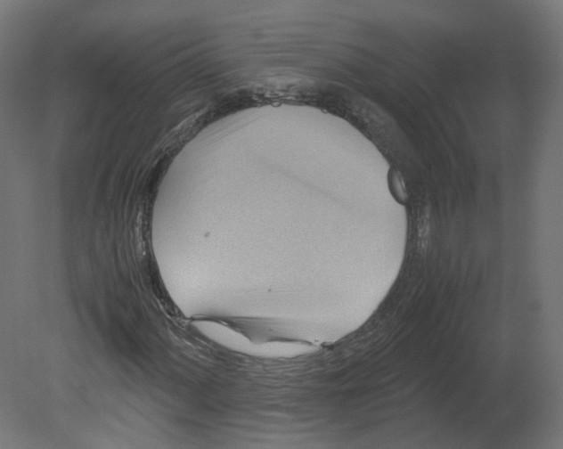 X0000080661060200701121600