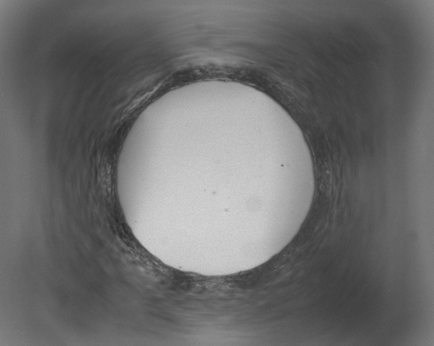 X0000080661061200701121600