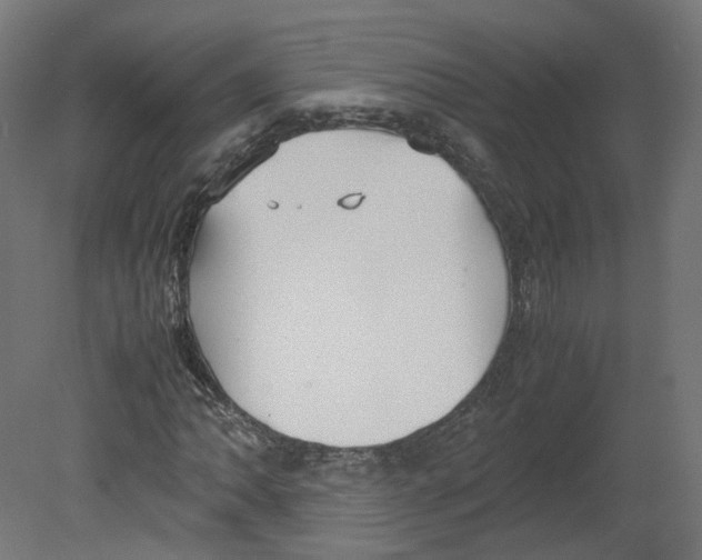 X0000080661062200701121600