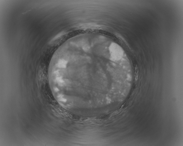 X0000080661063200701121600