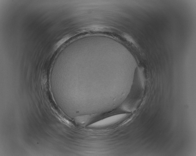 X0000080661065200701121600