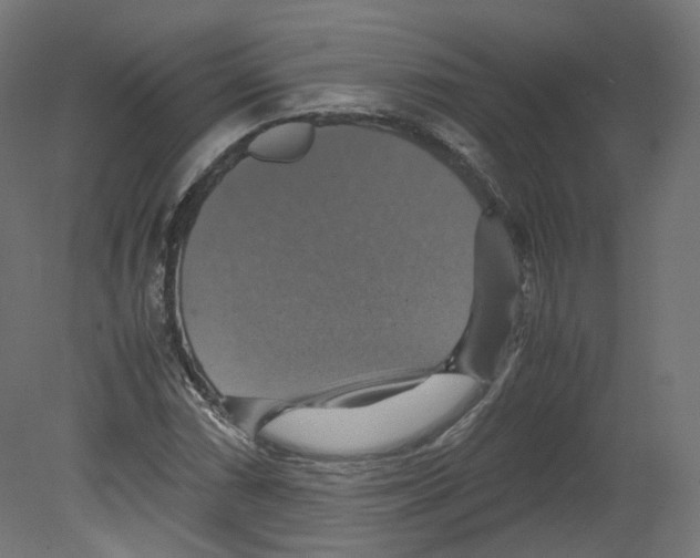 X0000080661066200701121600