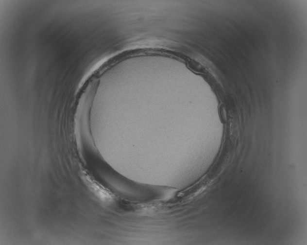 X0000080661069200701121600