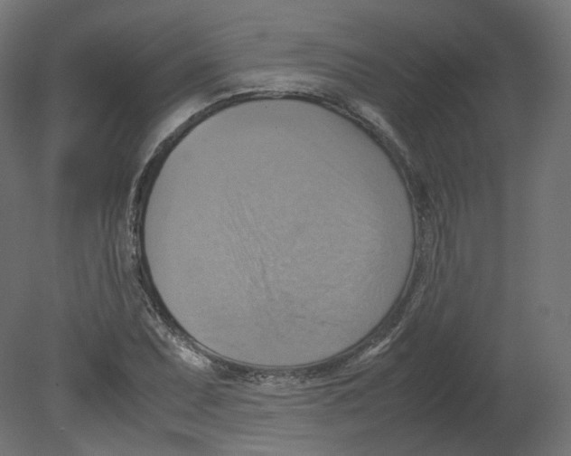 X0000080661071200701121600