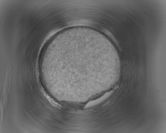 X0000080661072200701121600