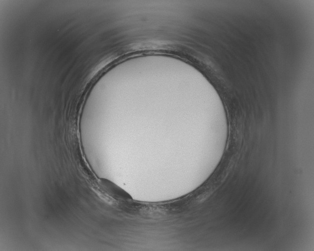 X0000080661073200701121600