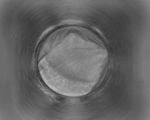 X0000080661074200701121600