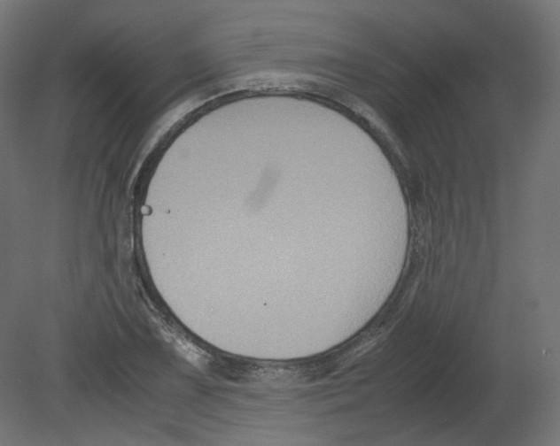 X0000080661075200701121600