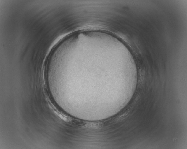 X0000080661078200701121600