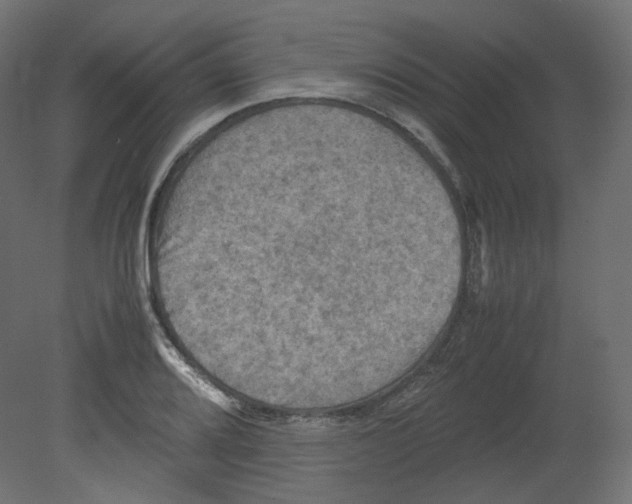 X0000080661080200701121600