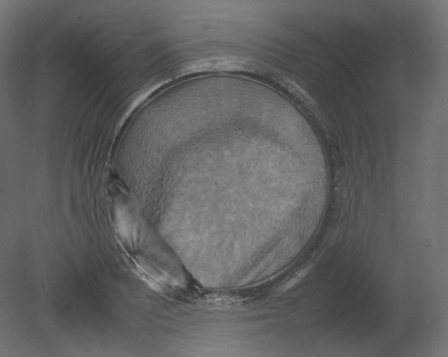 X0000080661081200701121600