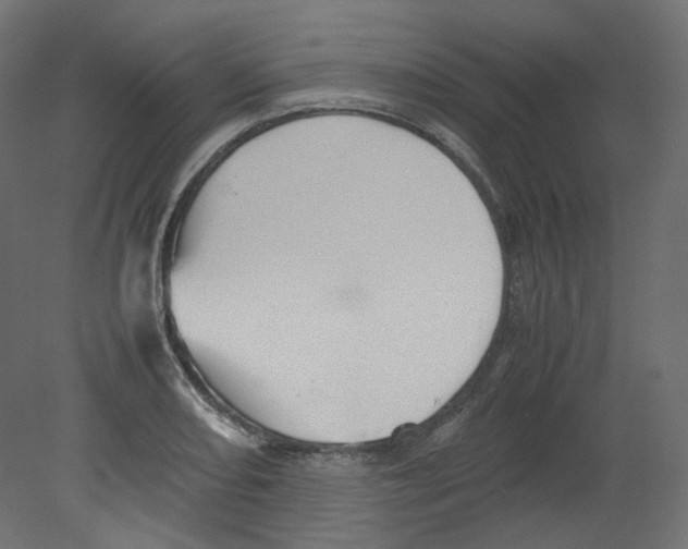 X0000080661082200701121600