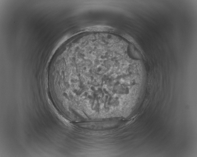 X0000080661083200701121600