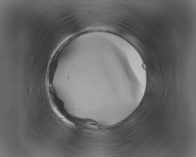 X0000080661084200701121600