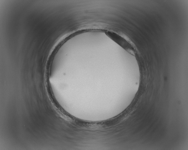 X0000080661085200701121600