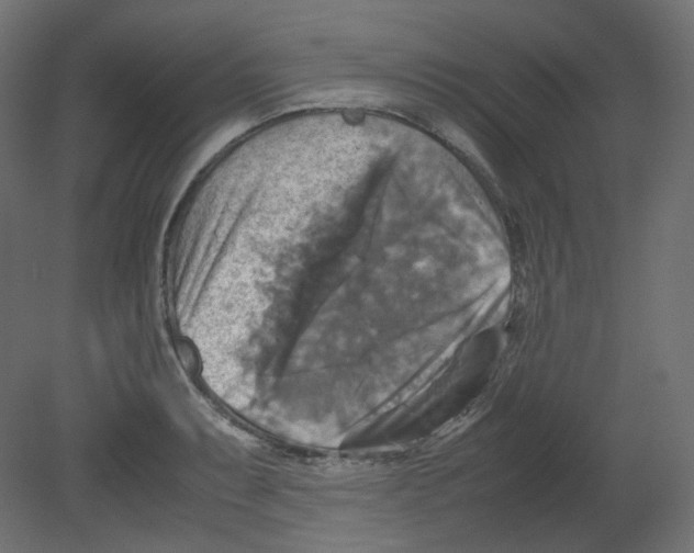 X0000080661087200701121600