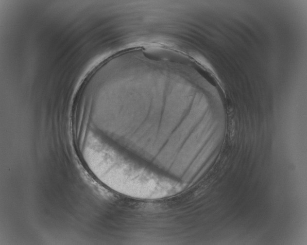 X0000080661088200701121600