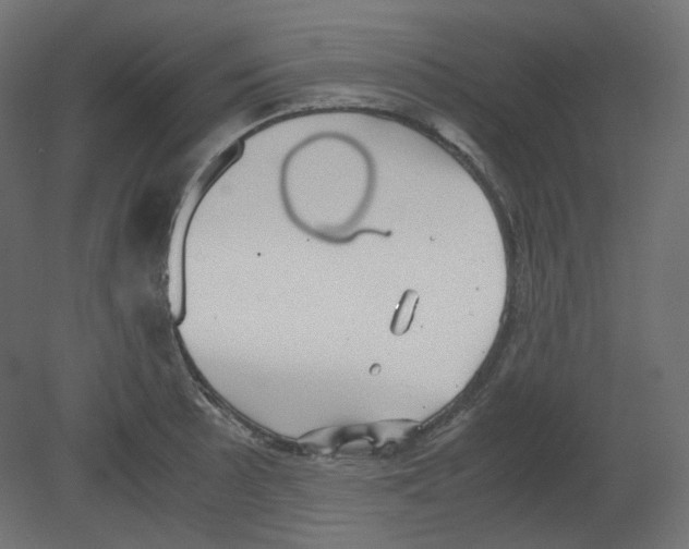 X0000080661089200701121600