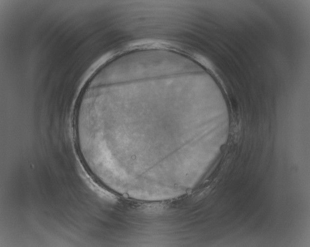 X0000080661090200701121600