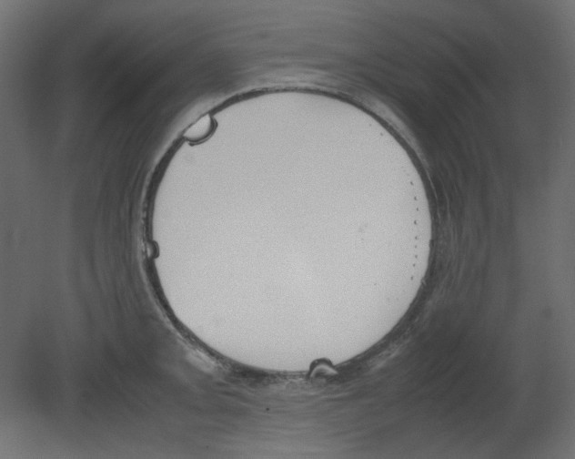 X0000080661093200701121600