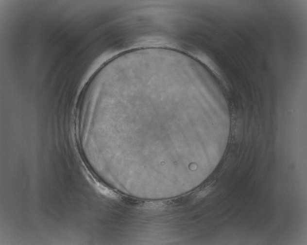 X0000080661094200701121600