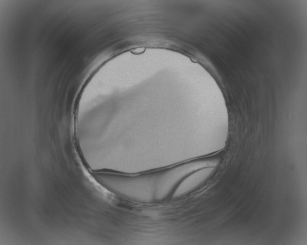 X0000080661095200701121600