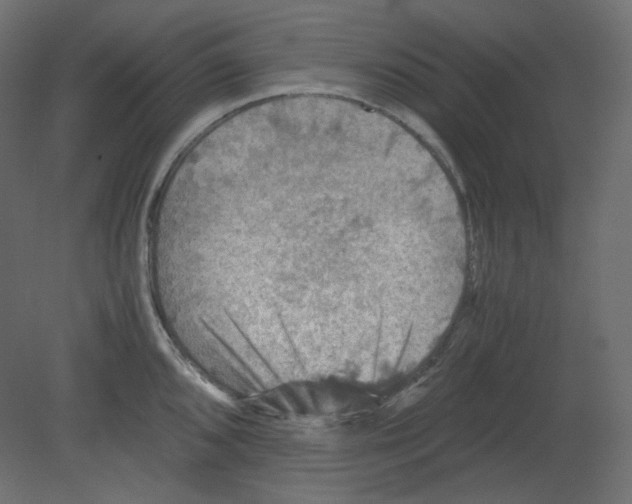 X0000080661096200701121600