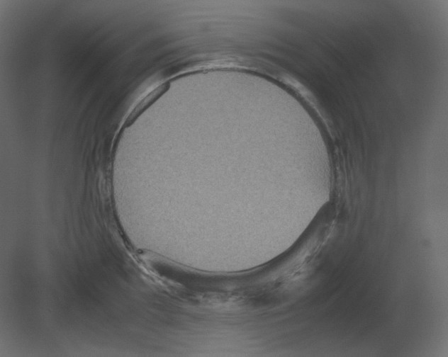 X0000080661097200701121600