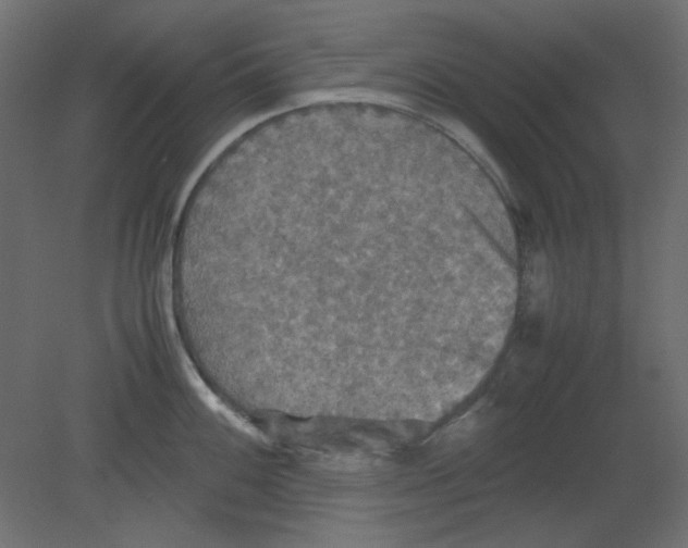 X0000080661100200701121600