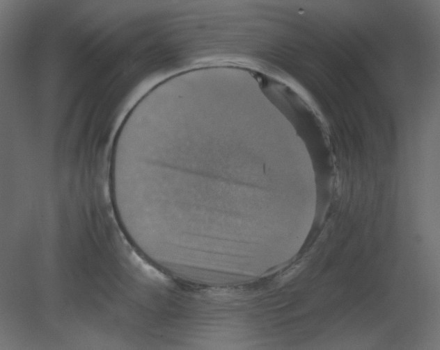 X0000080661102200701121600